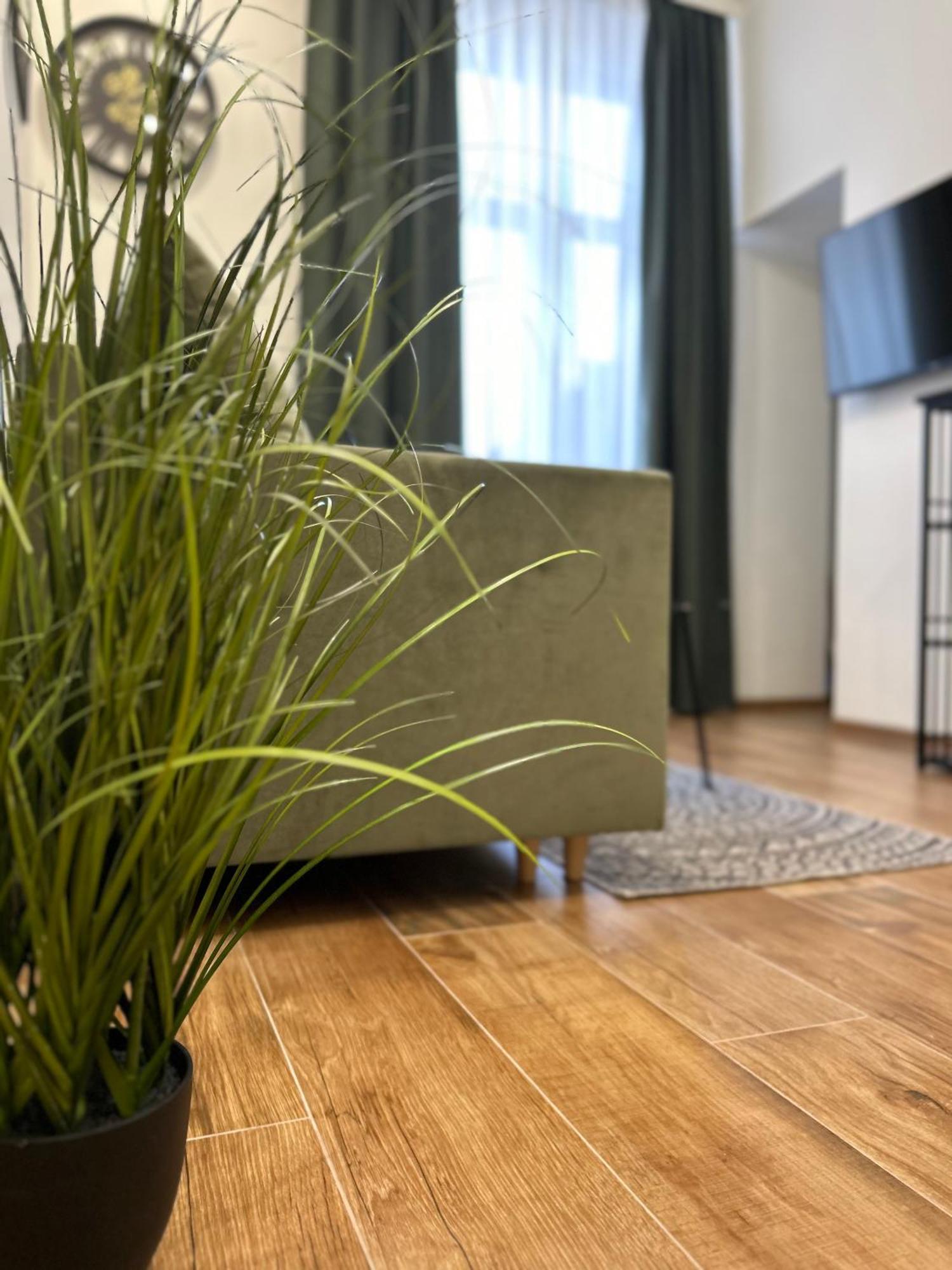 Apartament Krasinskiego Przemyśl Dış mekan fotoğraf