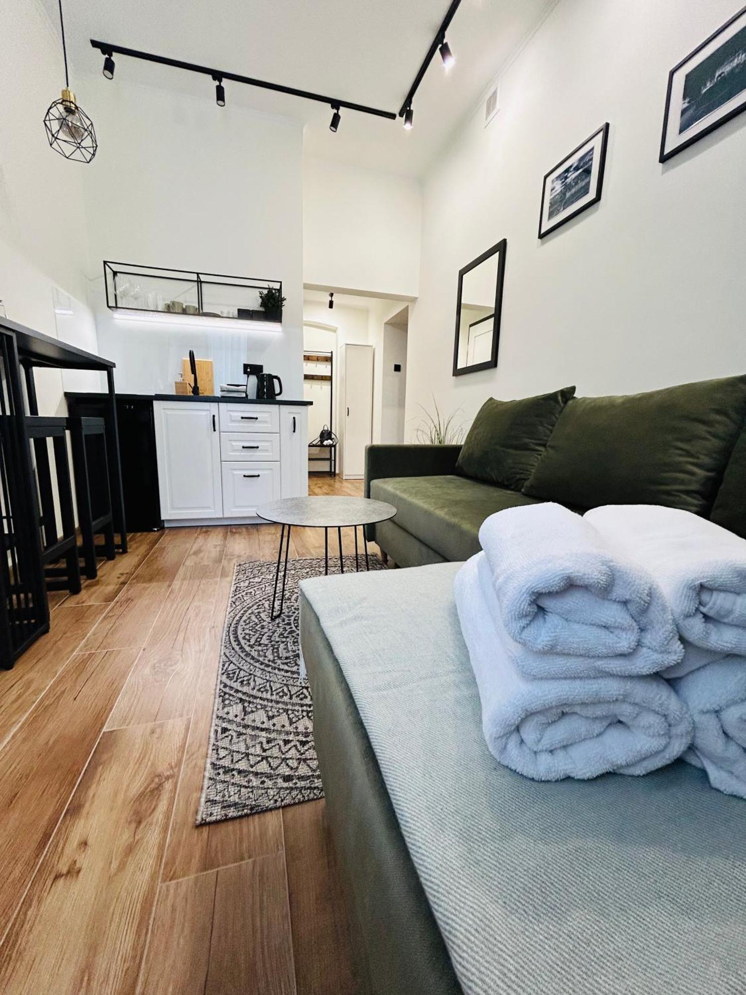 Apartament Krasinskiego Przemyśl Dış mekan fotoğraf